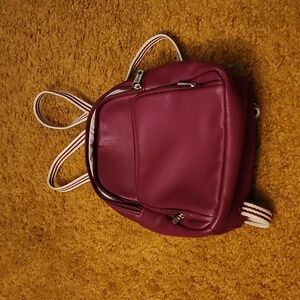 Small 31 pack back purse